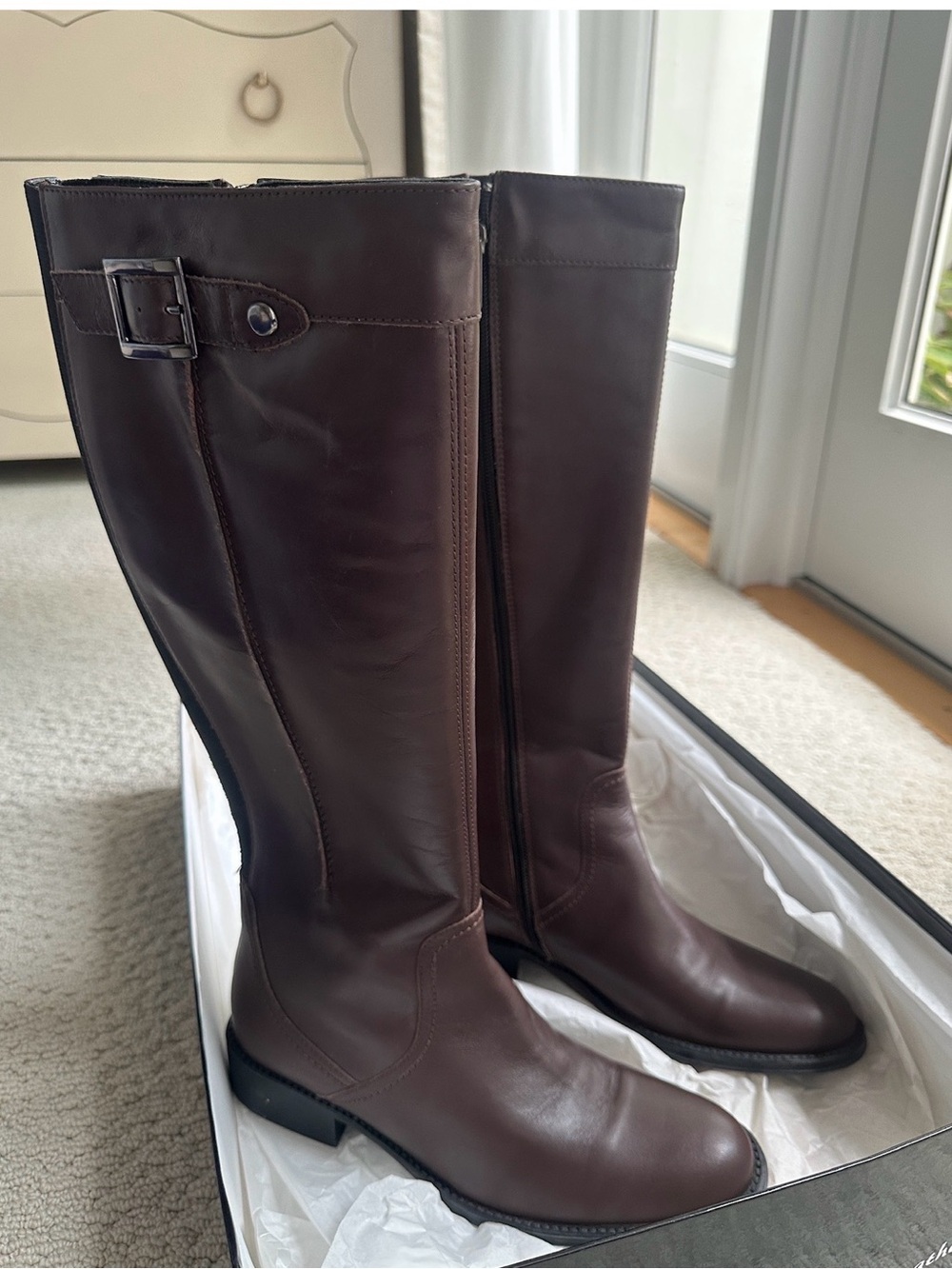 Aquatalia Women's Riding Boots in Dark Brown Leather